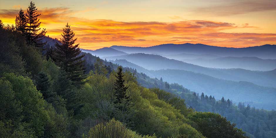 Beautiful Smokey Mountains.