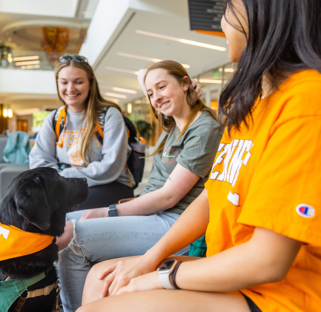 Students hang out between classes with a service dog
