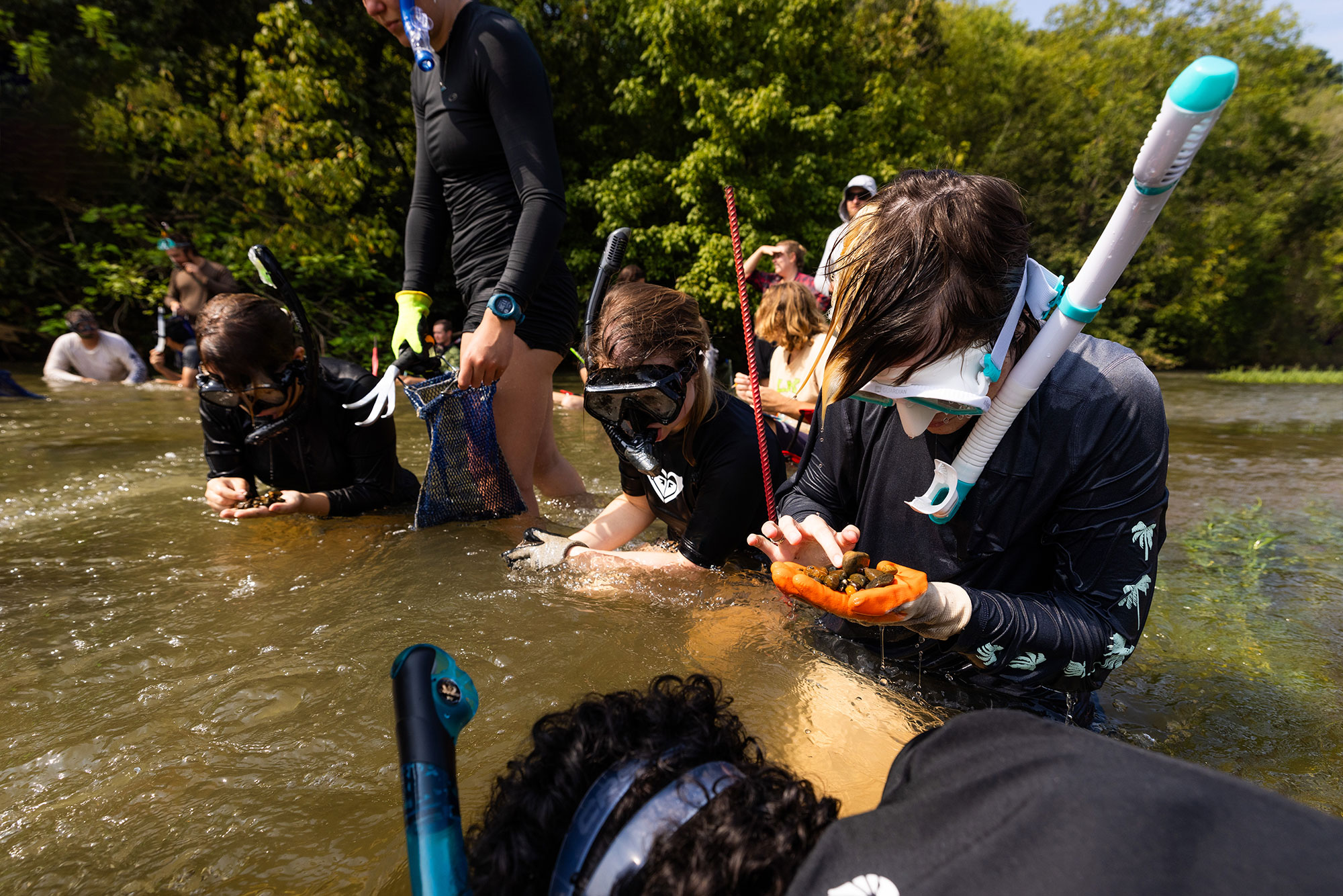 a group of students study the riverbed using snorkeling equipment