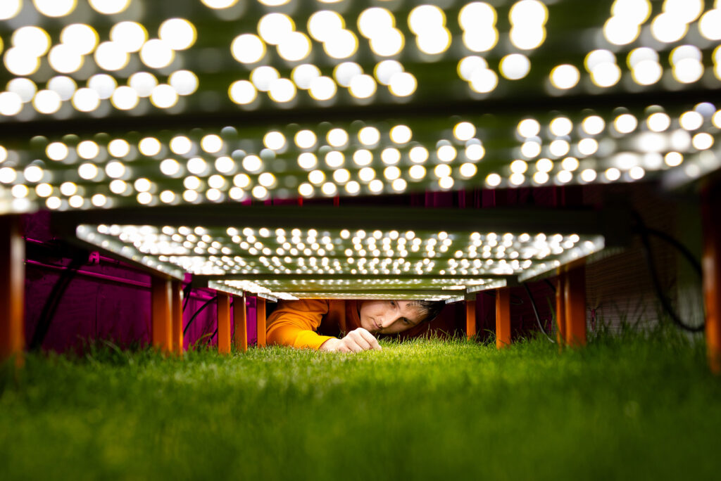 Grad student, inspects the condition of turf grass conditions growing the inside FIFA Building