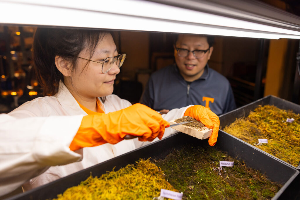 Students perform moss research